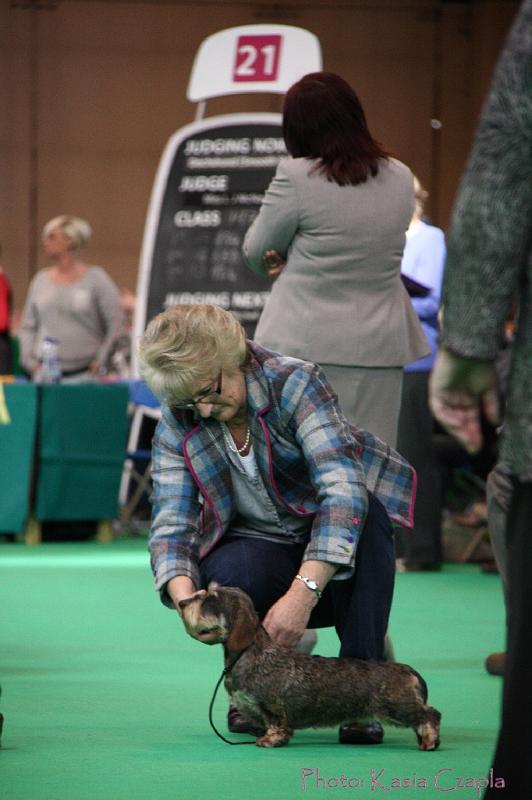 Crufts2011_2 986.jpg